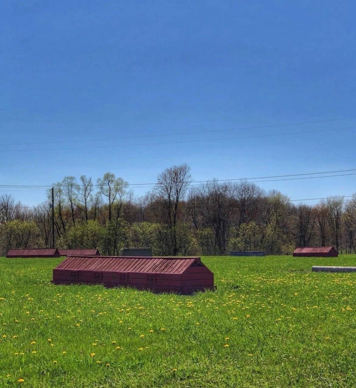 Pastures with run-in shelters